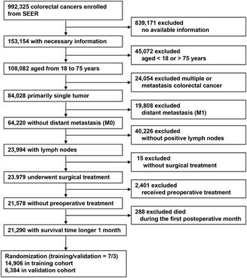 A Modified Tumor-Node-Metastasis Classification for Stage III Colorectal Cancers Based on Treating Tumor Deposits as Positive Lymph Nodes
